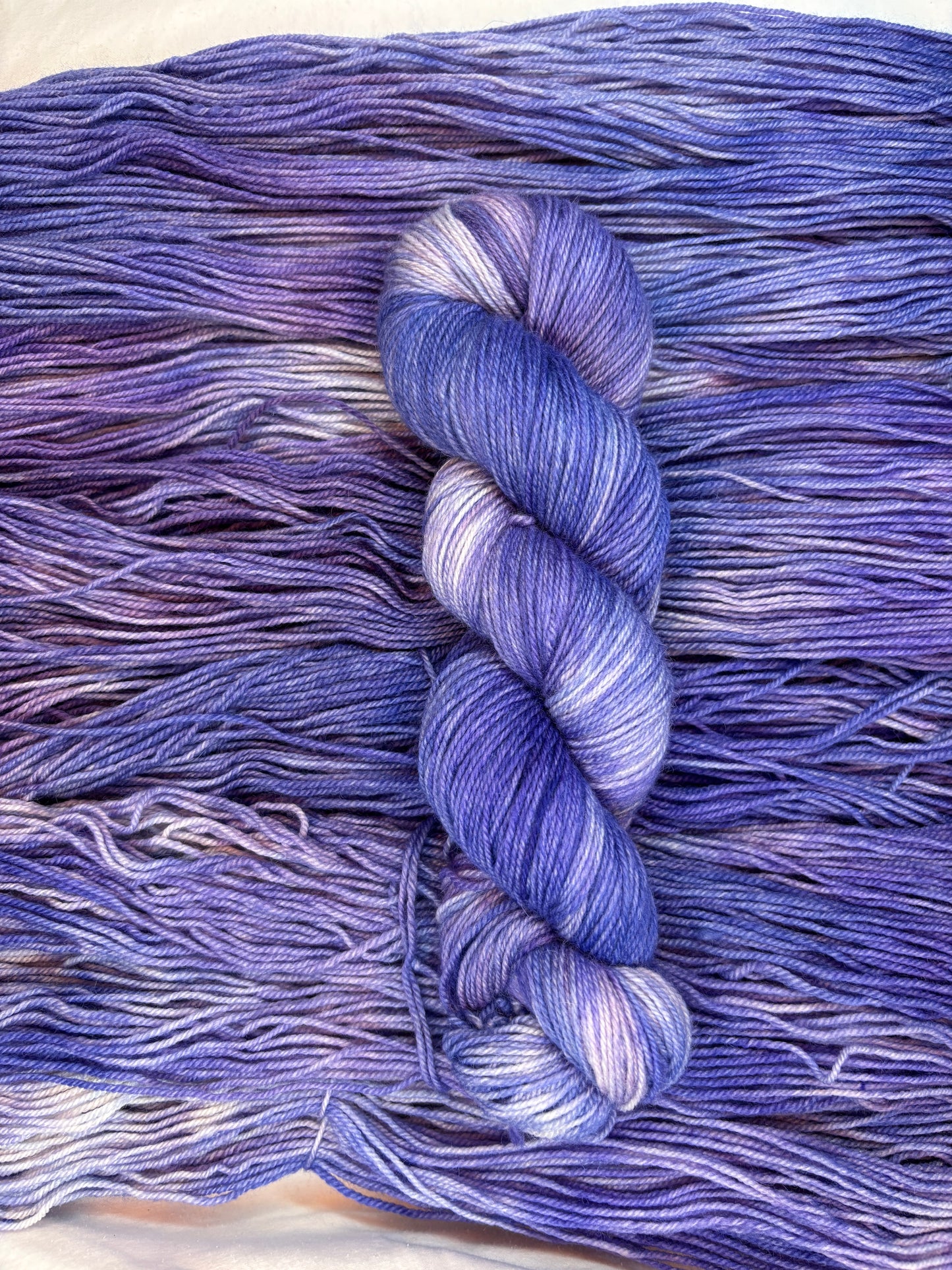 Hydrangea