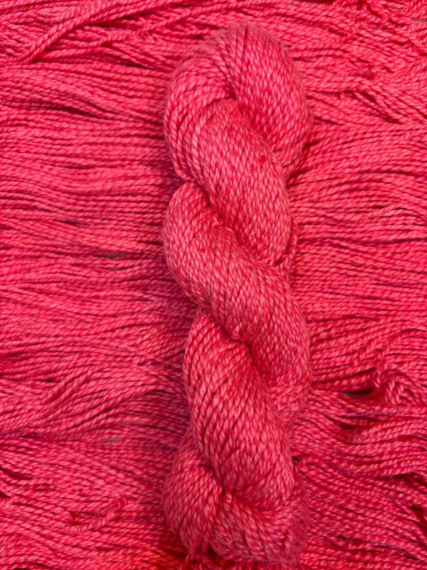 Cotton Poppy
