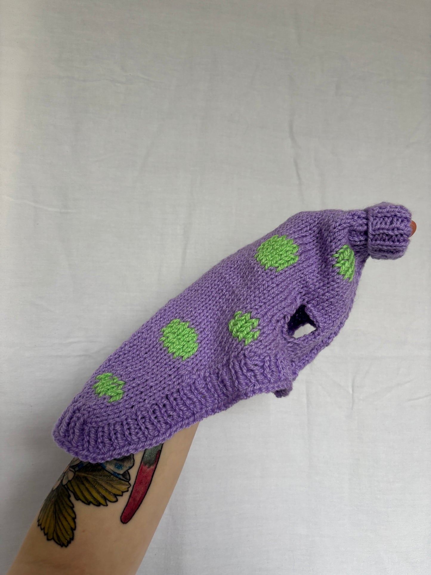 NEW Sample Pet Sweater