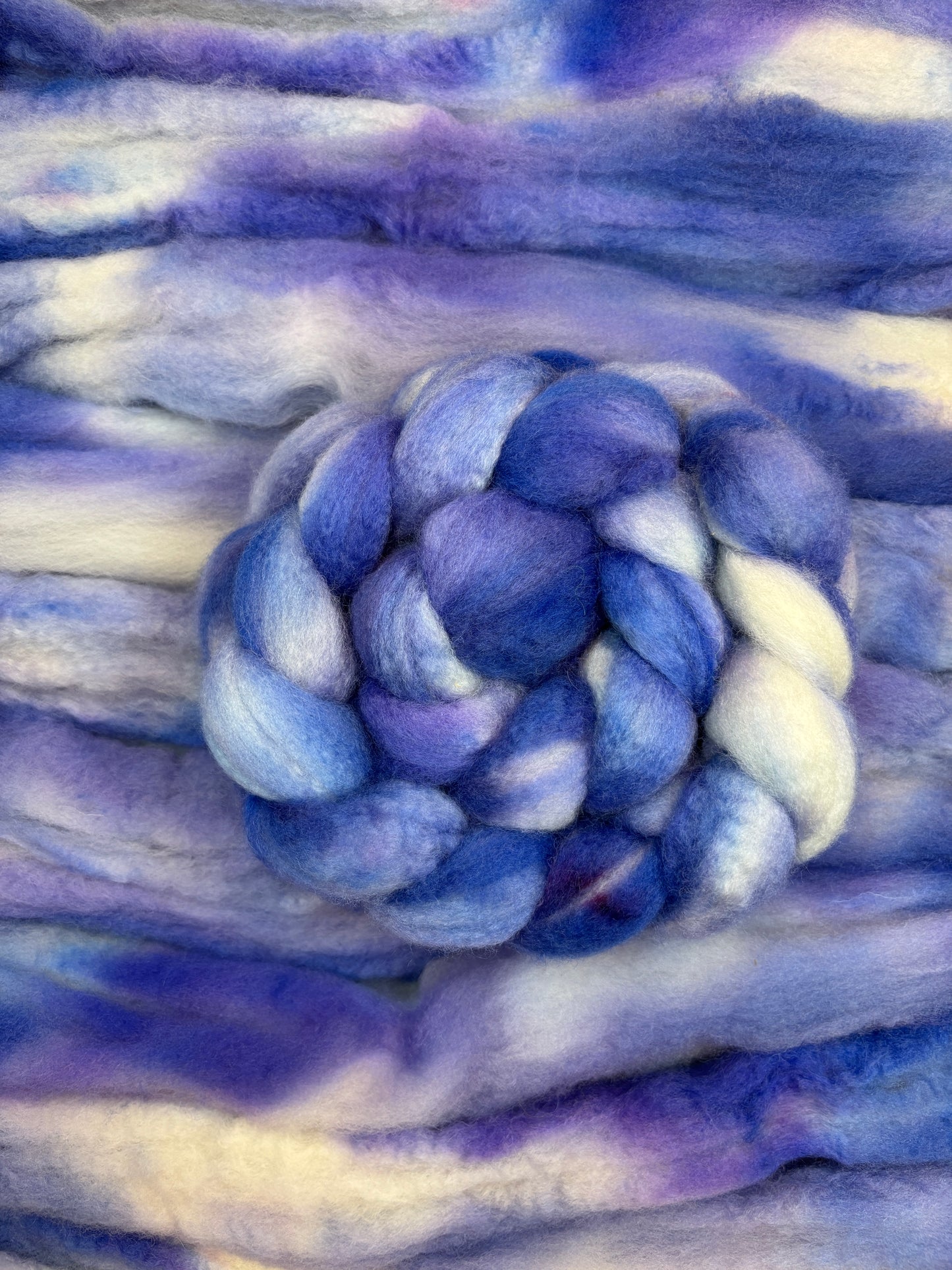 Hydrangea