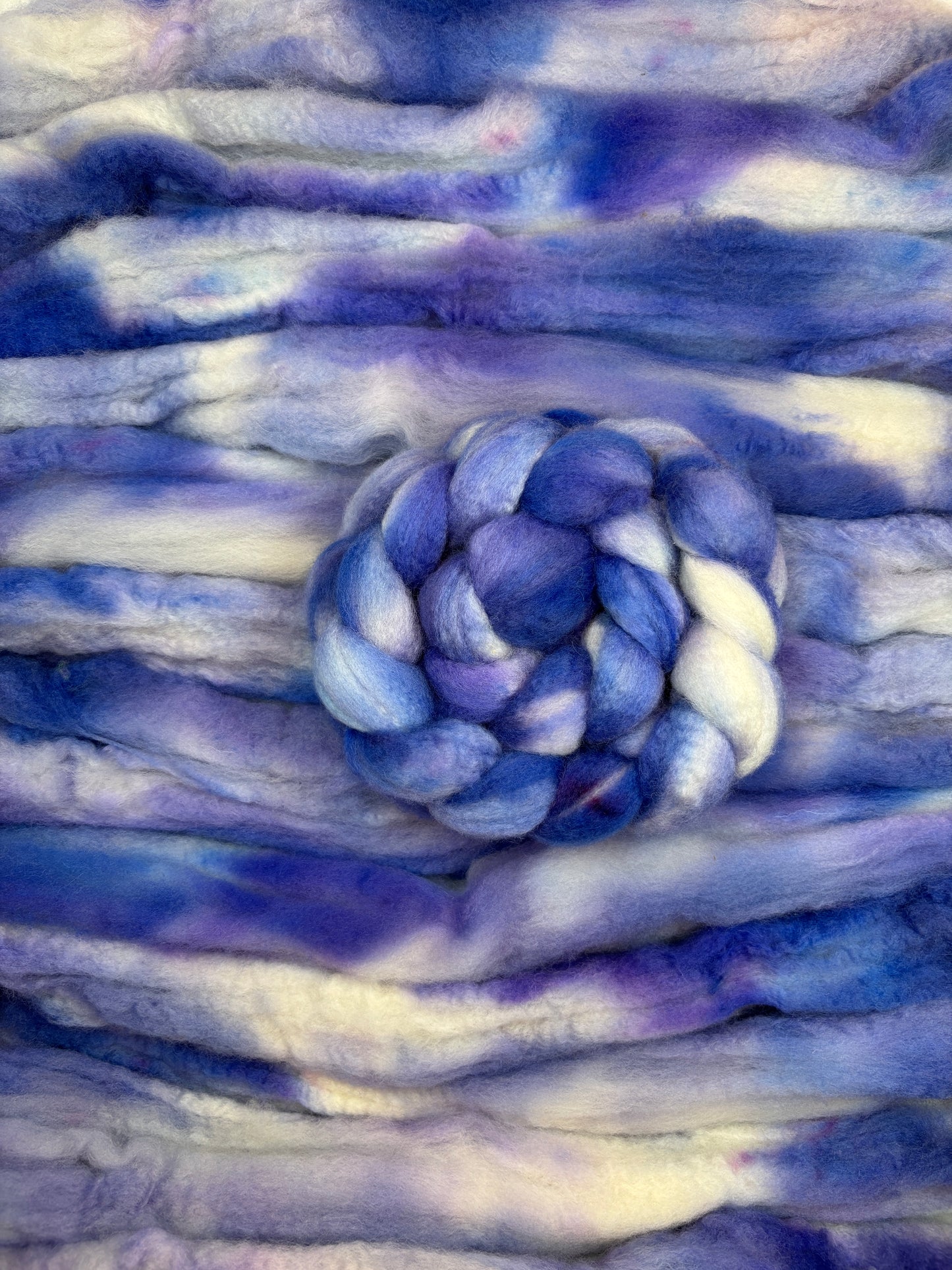 Hydrangea
