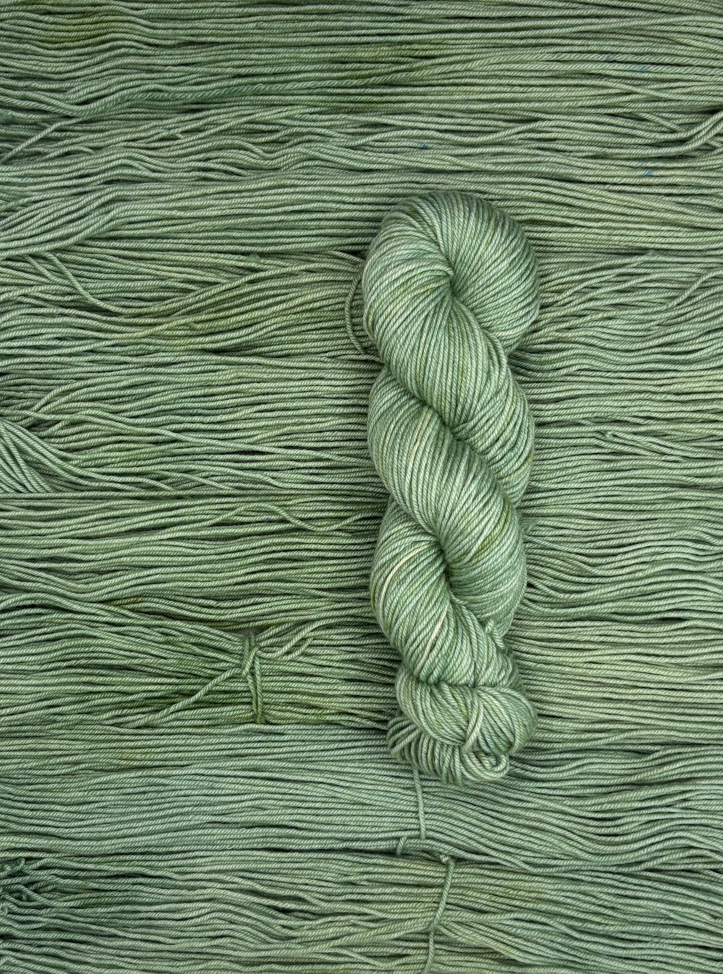 New Growth Worsted