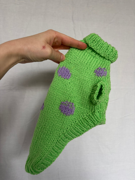 NEW Sample Pet Sweater