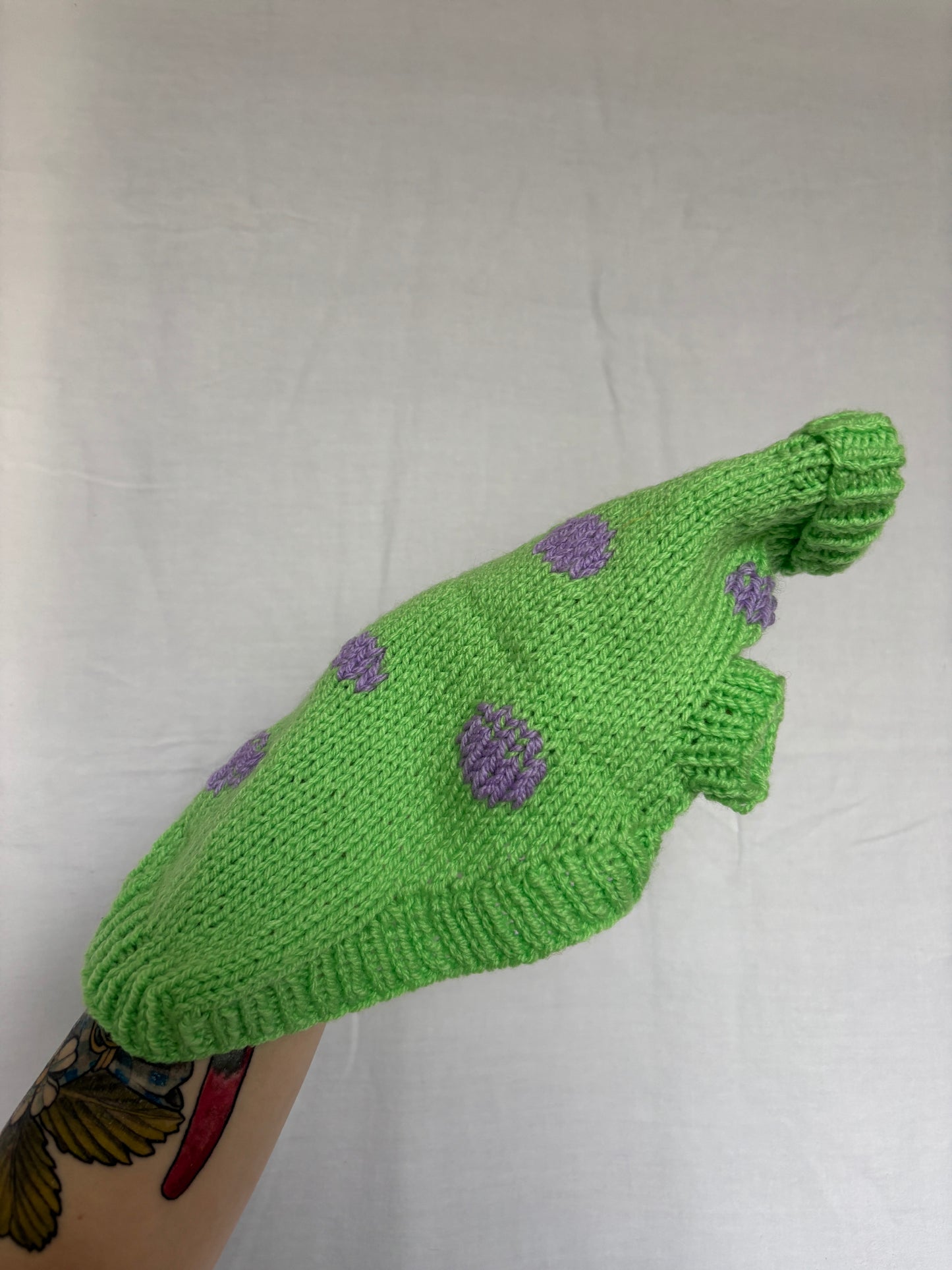 NEW Sample Pet Sweater