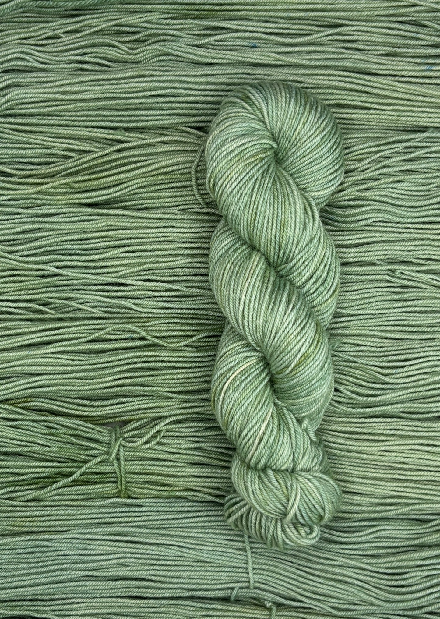 New Growth Worsted