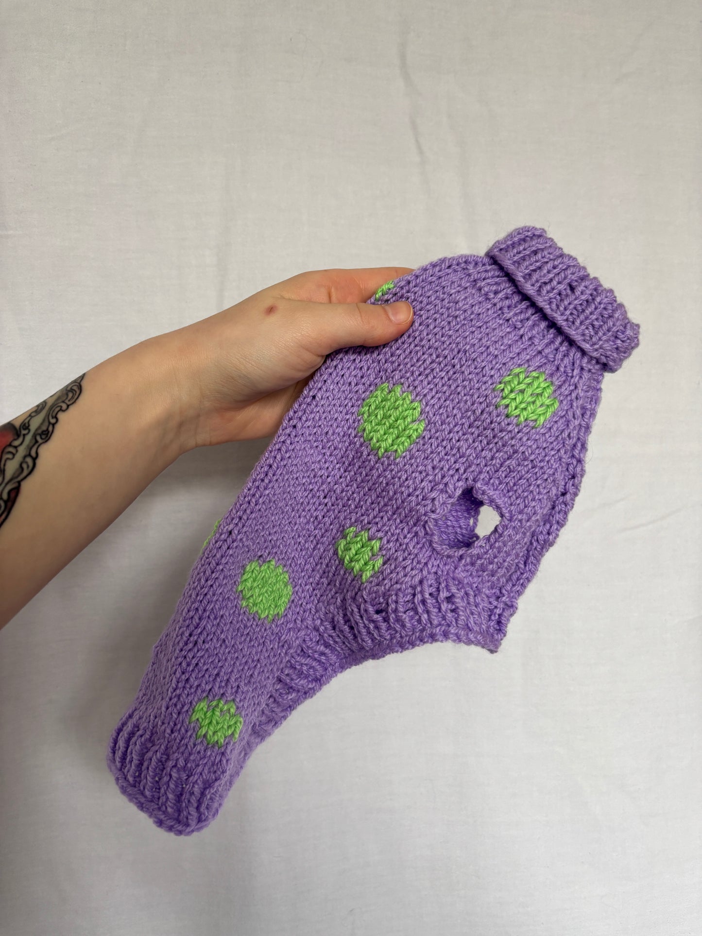 NEW Sample Pet Sweater