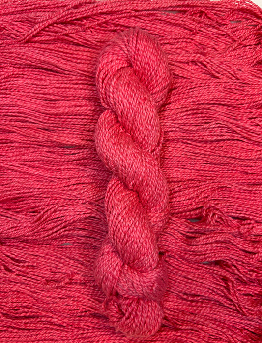 Cotton Poppy